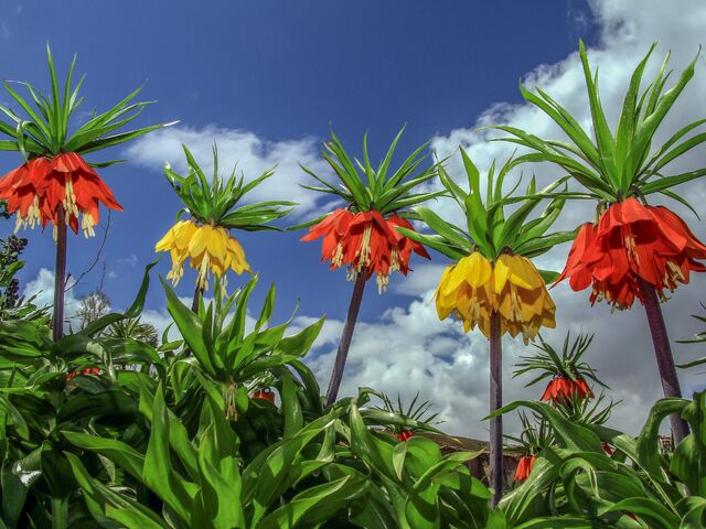 Hakkari Yüksekova Çukurca  Gezisi 3 Gece 4 Gün