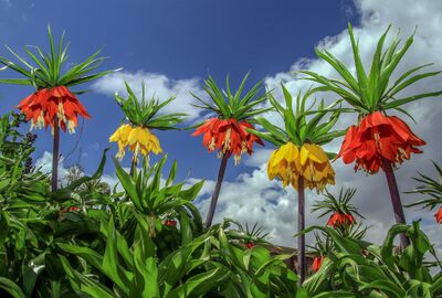 Hakkari Yüksekova Çukurca  Gezisi 3 Gece 4 Gün