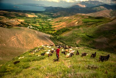 Hakkari Yüksekova Çukurca  Gezisi 3 Gece 4 Gün